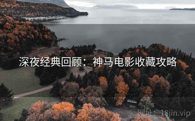 深夜经典回顾：神马电影收藏攻略
